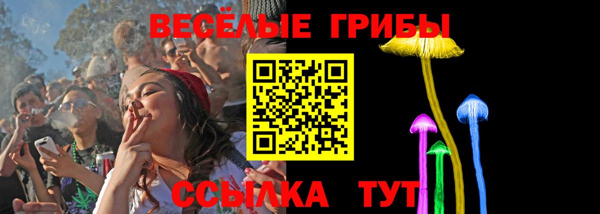 Ивантеевка  Псилоцибиновые грибы ЛСД  купить закладку  Вход с VPN  Псилоцибиновые грибы Cubensis 